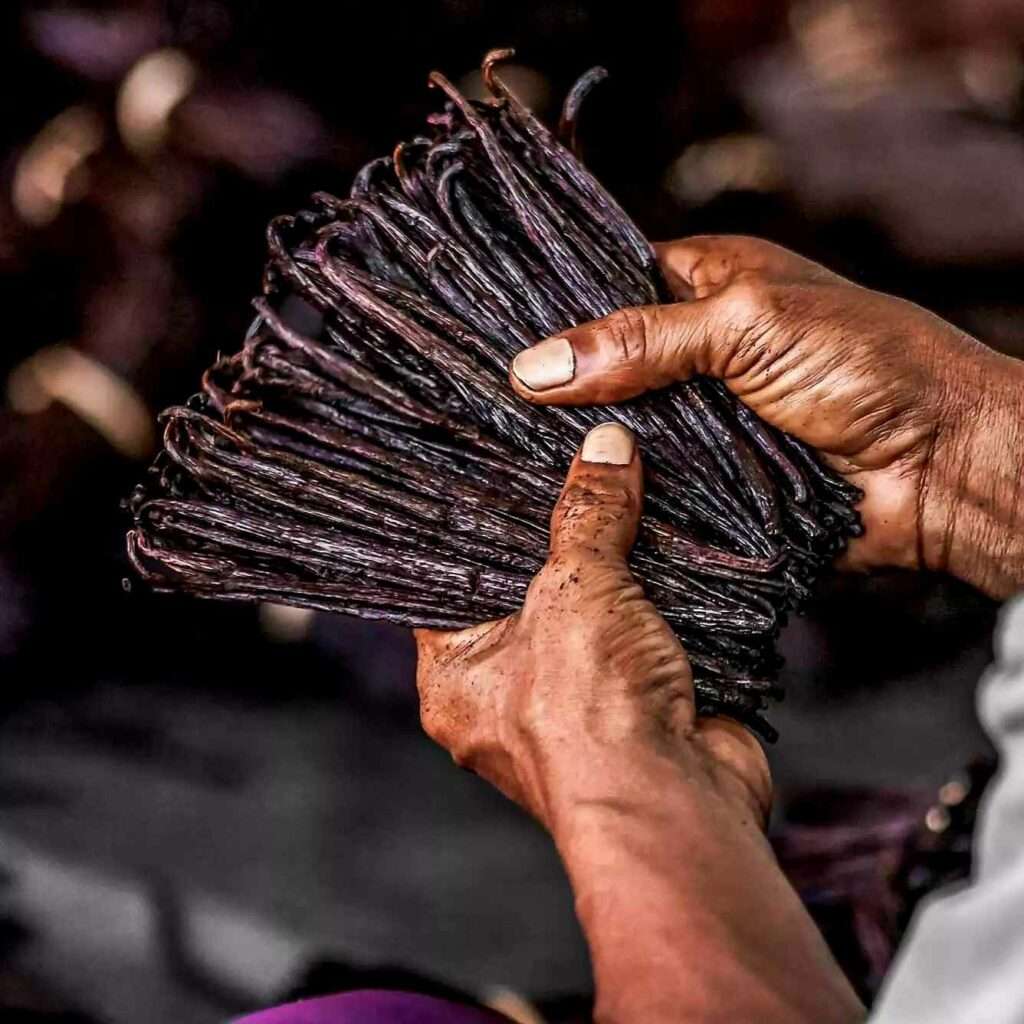 1000018368